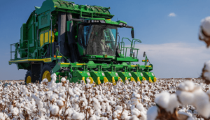 How Long Do Cotton Picker Belts Last