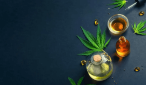 CBD Supports