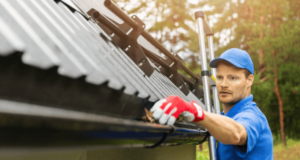 Comprehensive Gutter Cleaning Services by National SoftWash in Aurora IL and Nearby Areas