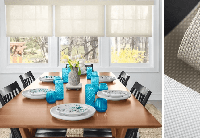 Window Treatment Options