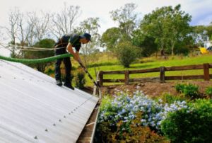 Gutter Cleaning: Preventing Water Damage and Maintaining Your Home