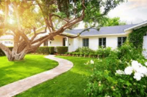Landscaping Design: How to Transform Your Outdoors Into a Beautiful Oasis