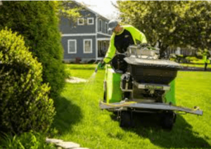 Lawn Care 101: Expert Tips for a Healthy, Green Lawn
