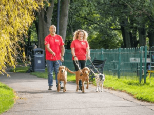 Pet Sitting and Dog Walking: Reliable Care for Your Furry Friends