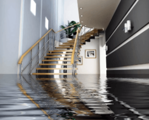 Water Damage Restoration: What to Do After Flooding or Leaks