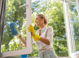Window Cleaning Made Simple: Tips for Streak-Free Windows