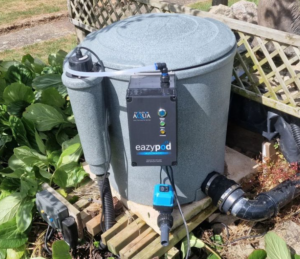 Pond Drum Pollutants The Definitive result to Crystal Clear Pond Water
