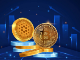 Highest staking rewards: which cryptocurrencies offer the most? Highest staking rewards: which cryptocurrencies offer the most?