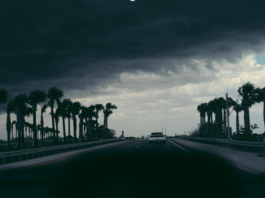 How Tropical Storms Bring Water Damage & Lots of Mold to South Florida How Tropical Storms Bring Water Damage & Lots of Mold to South Florida