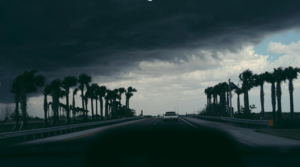 How Tropical Storms Bring Water Damage & Lots of Mold to South Florida