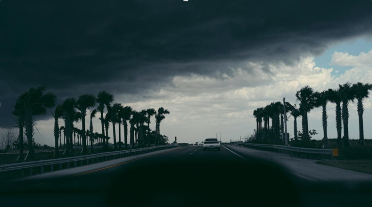 How Tropical Storms Bring Water Damage & Lots of Mold to South Florida
