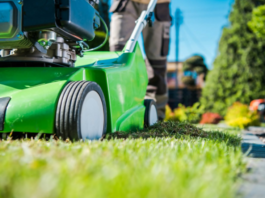 Essential Lawn Care Maintenance Tips Essential Lawn Care Maintenance Tips