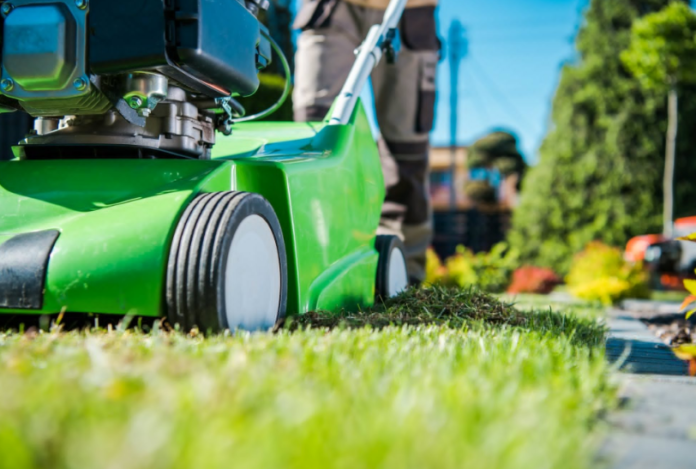 Essential Lawn Care Maintenance Tips