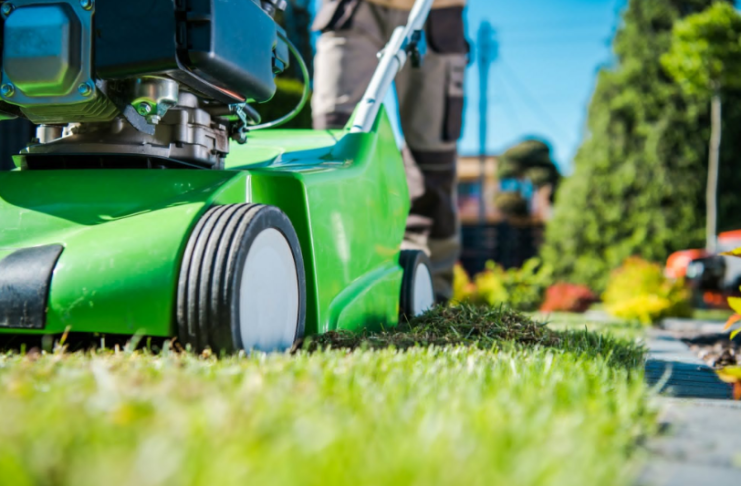 Essential Lawn Care Maintenance Tips