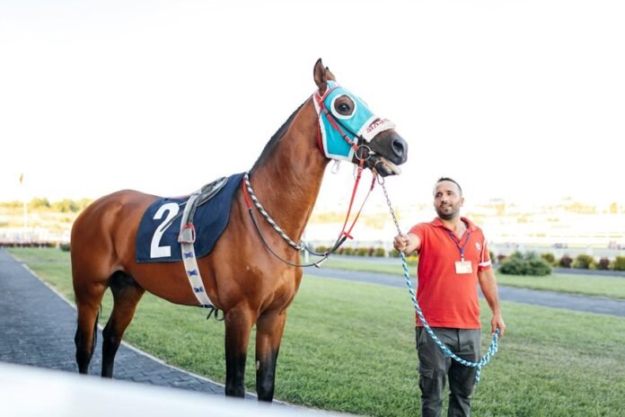 discover better paths daily