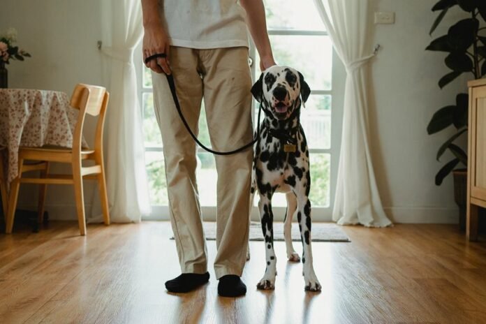 independent caller analysis 18004517269 alerts