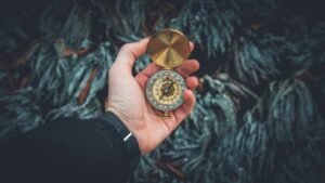 seo strategist career compass phrased