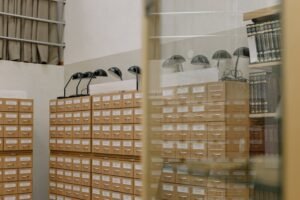 archive numbers reveal detailed reviews
