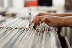 check number search records for multiple numbers