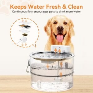Low Noise Animal Water Fountain: The Key to Dog Hydration